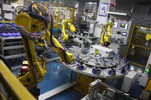 紅綠相映，扮靚浙西南——老區新征程上的技術開發奮進篇章