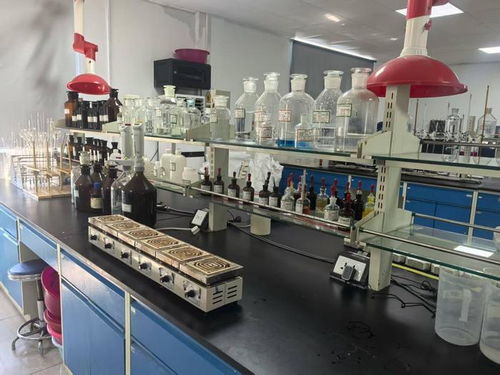 黑龍江玉米的黃金鏈 深加工產品以技術開發贏得國際高身價